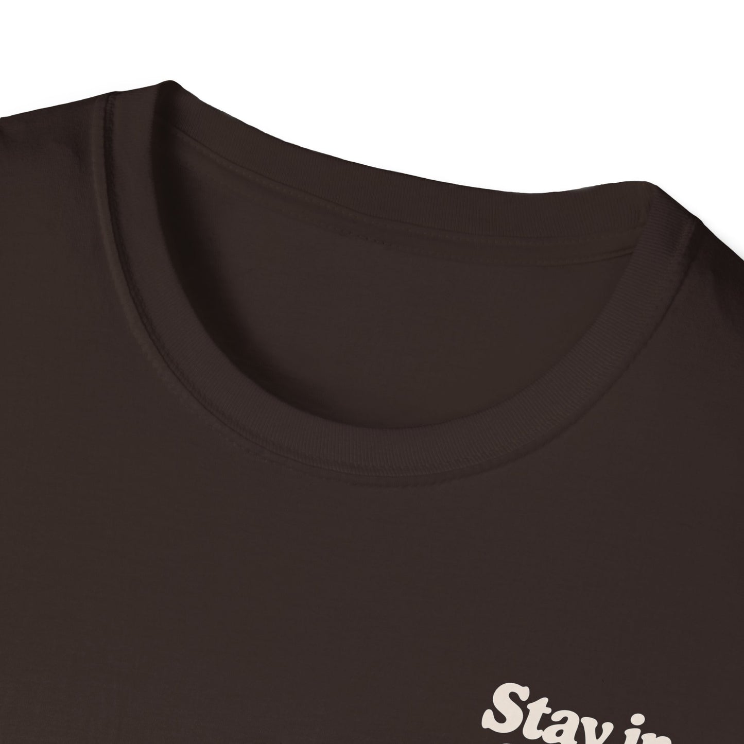 Stay in Your Vibe T-Shirt — Retro Neutral Graphic Tee