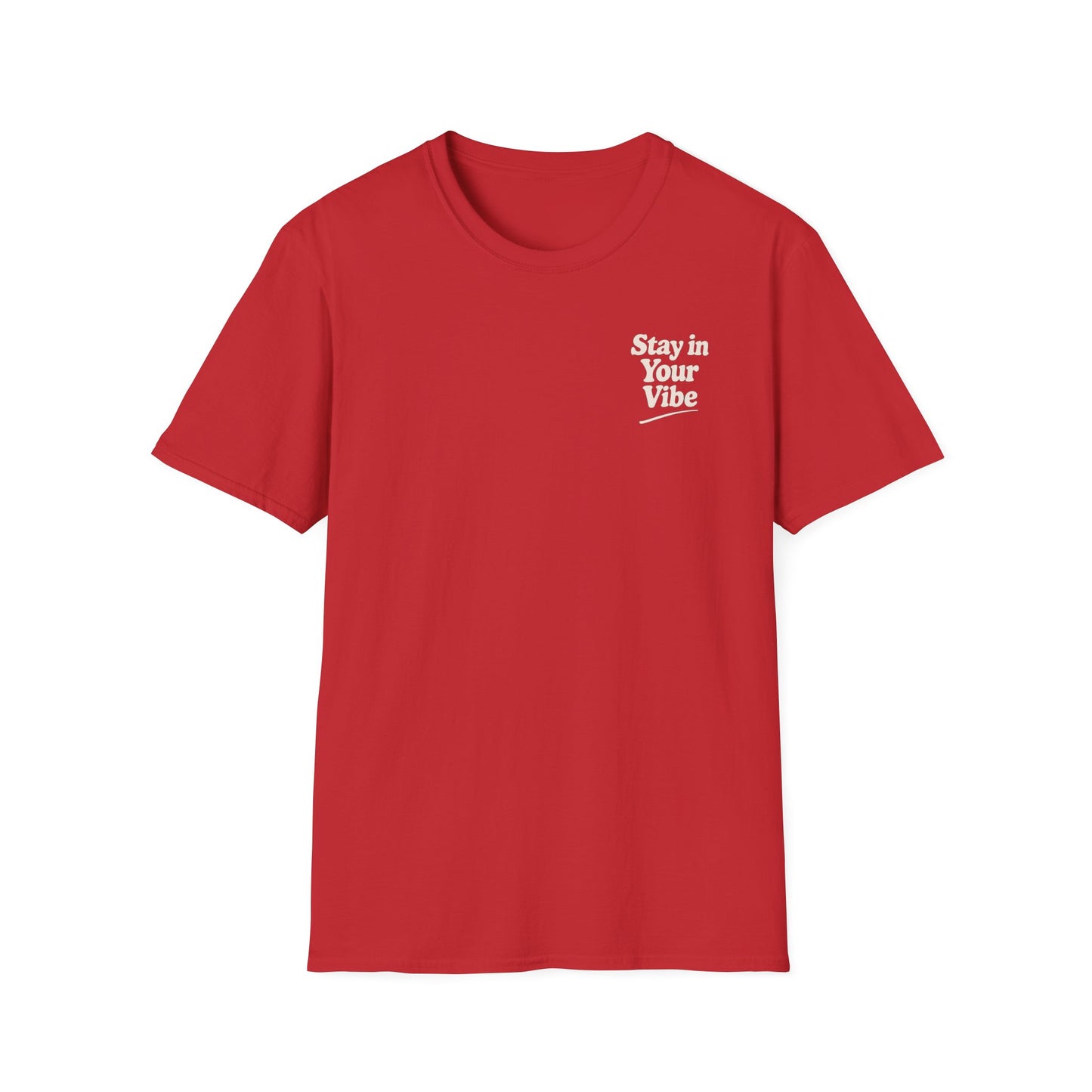 Stay in Your Vibe T-Shirt — Retro Neutral Graphic Tee